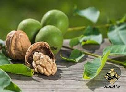 خرید و قیمت روز گردو ژنوتیپ پیوندی